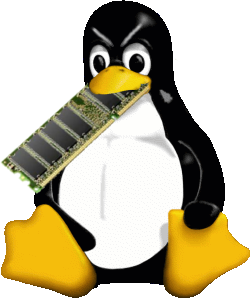 ¡Linux se come mi RAM!